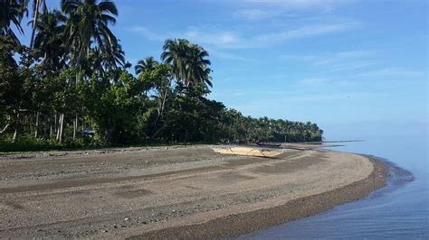 beach resort in casiguran aurora|DANGKALAN BEACH RESORT .